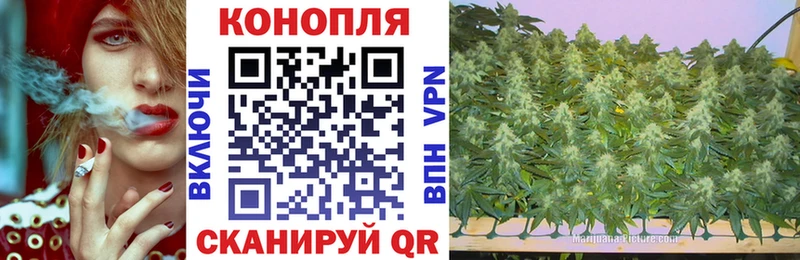 Купить закладки  Кола  Марихуана конопля 